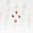 Fruit Basket Stud Set - Red Bird Road