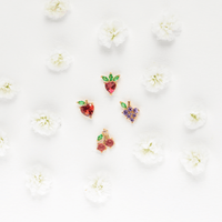 Fruit Basket Stud Set - Red Bird Road