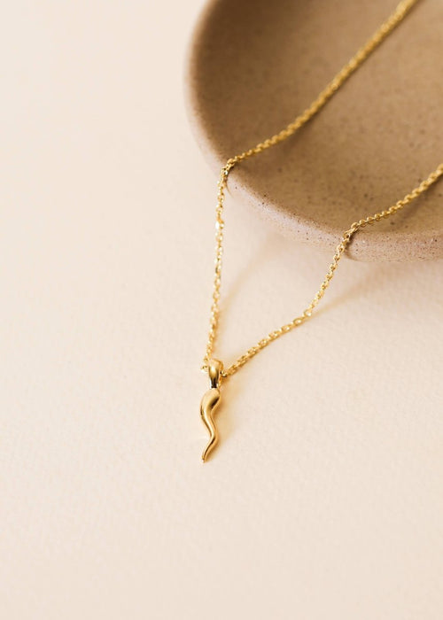 Horn Pendant Necklace - 18k Gold Plated Fashion Jewelry