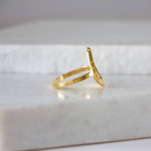 Lucky Horseshoe- Silver