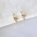 Mini CZ Star Huggie Hoop Earrings