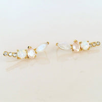 Rainbow Moonstone and Opal Wing Climbers