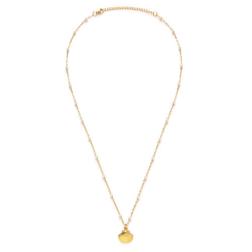 Scallop Shell and Pearl Station Chain Necklace