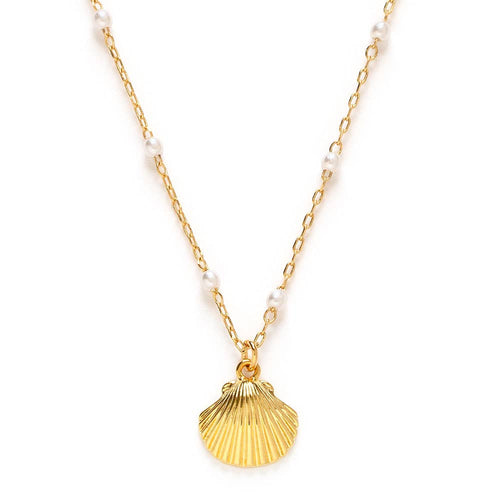 Scallop Shell and Pearl Station Chain Necklace