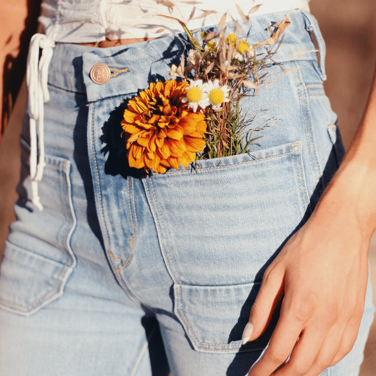 The Wanderer Flare - Gracie
