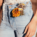 The Wanderer Flare - Gracie