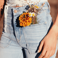 The Wanderer Flare - Gracie