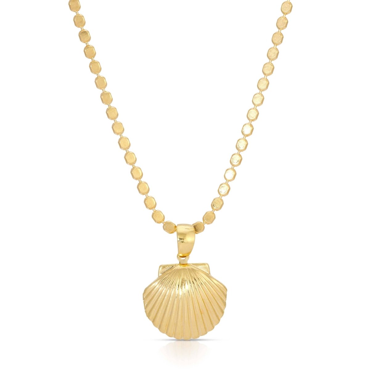Venus Shell Locket Necklace on Gold Coin Chain 