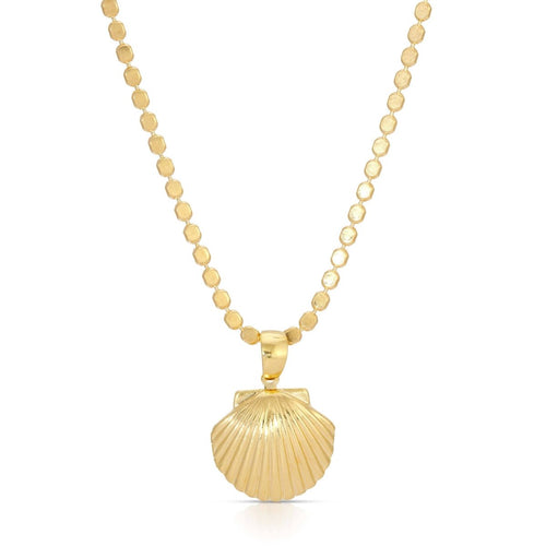 Venus Shell Locket Necklace on Gold Coin Chain